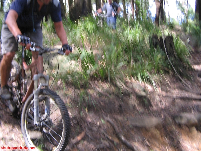 20080210-Bulli 066 